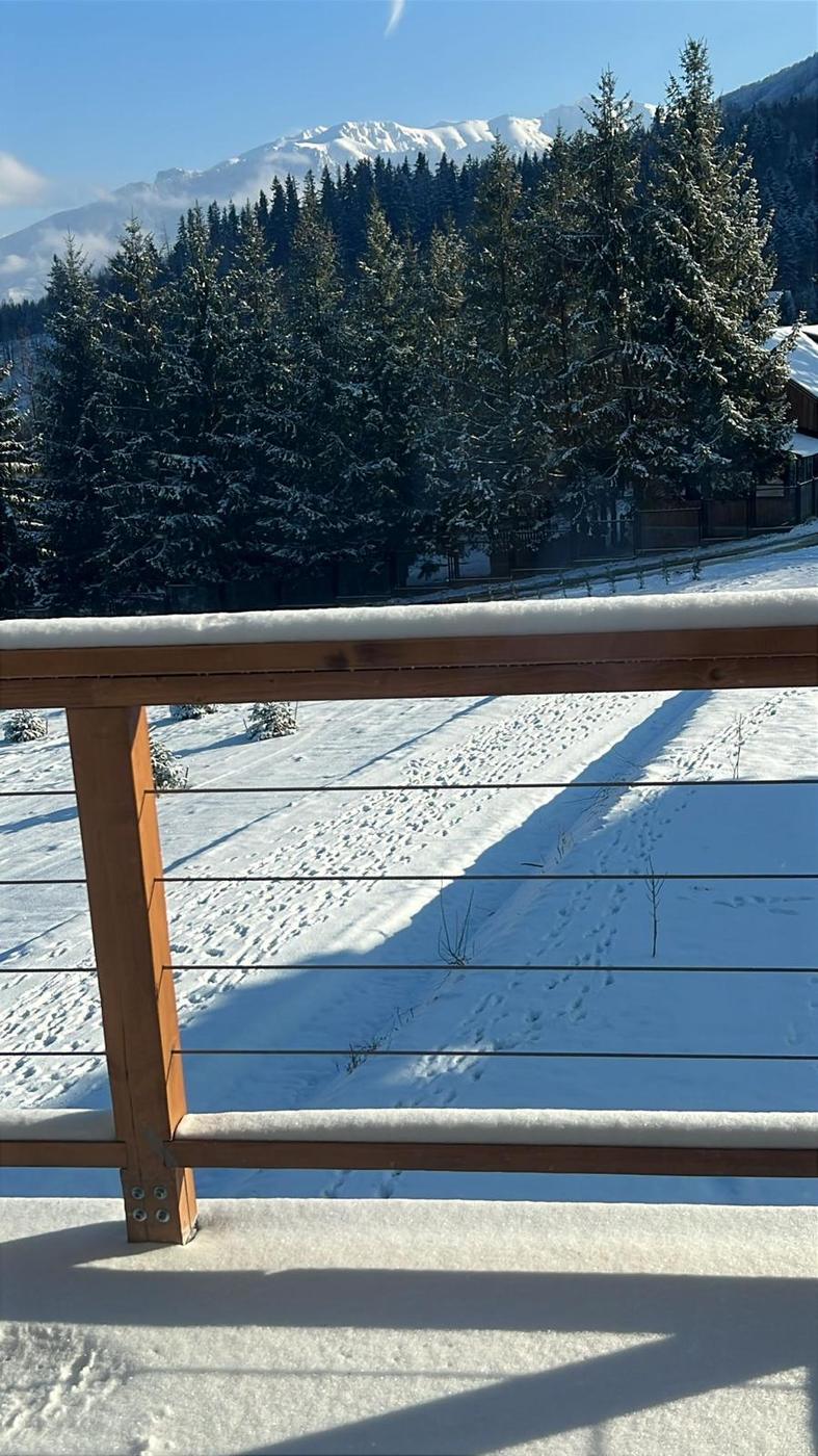 Brazi și creste înzăpezite văzute de pe balconul vilei